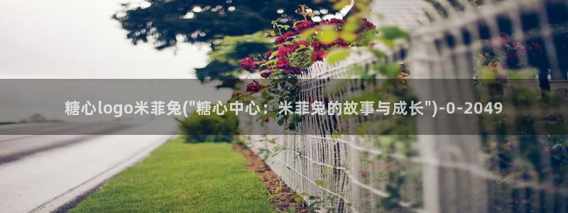 糖心vlog女主：糖心logo米菲兔(\
