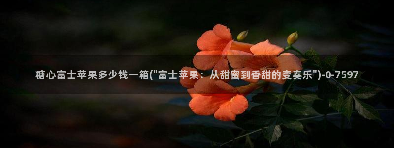 心糖vlog在线免费观看：糖心富士苹果多少钱一箱(\