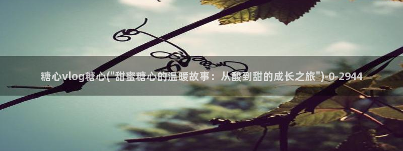 糖心少女vlog孤独的生日：糖心vlog糖心(\
